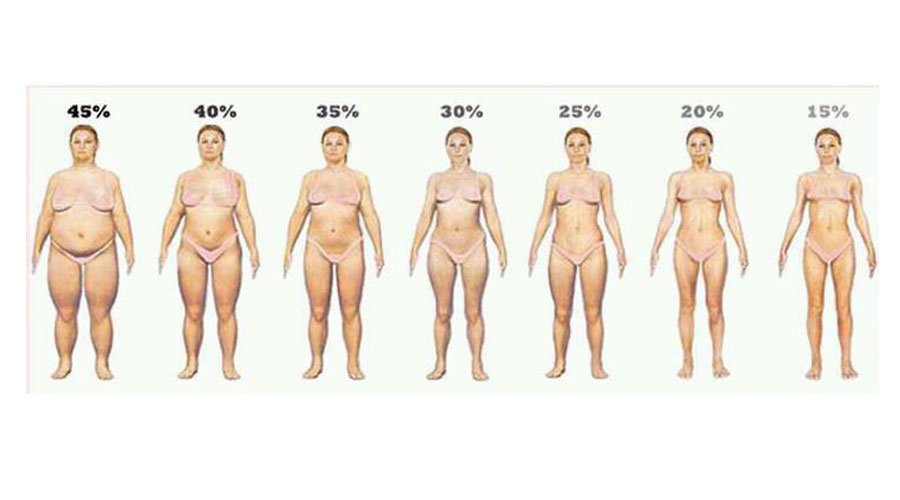 Ilustração de diversos corpos de mulheres mostrando a variação de gordura corporal, começando em 15% e indo áte 40%, de 5 em 5%