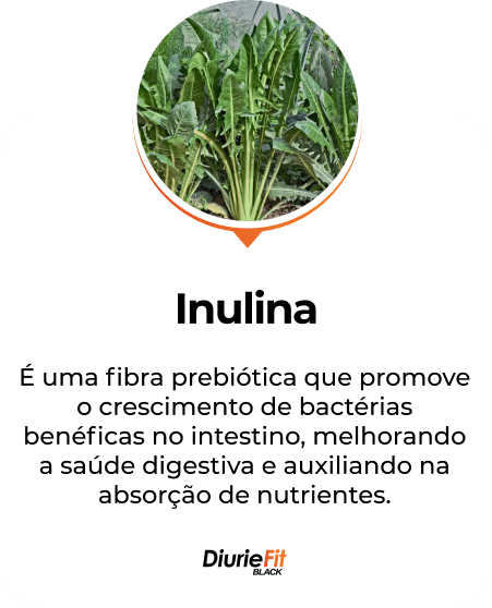 DiureFit Black ingredientes - Inulina