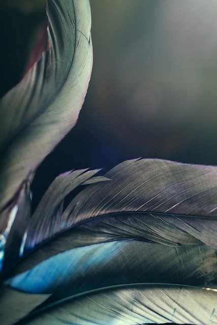 Conexão entre sono, libido e sexo, uma pluma